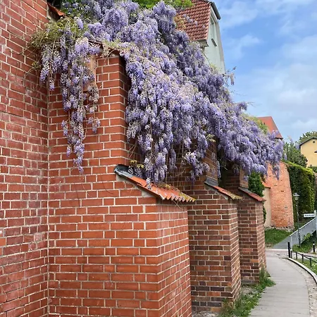 An Der Historischen Stadtmauer Apartment Rostock